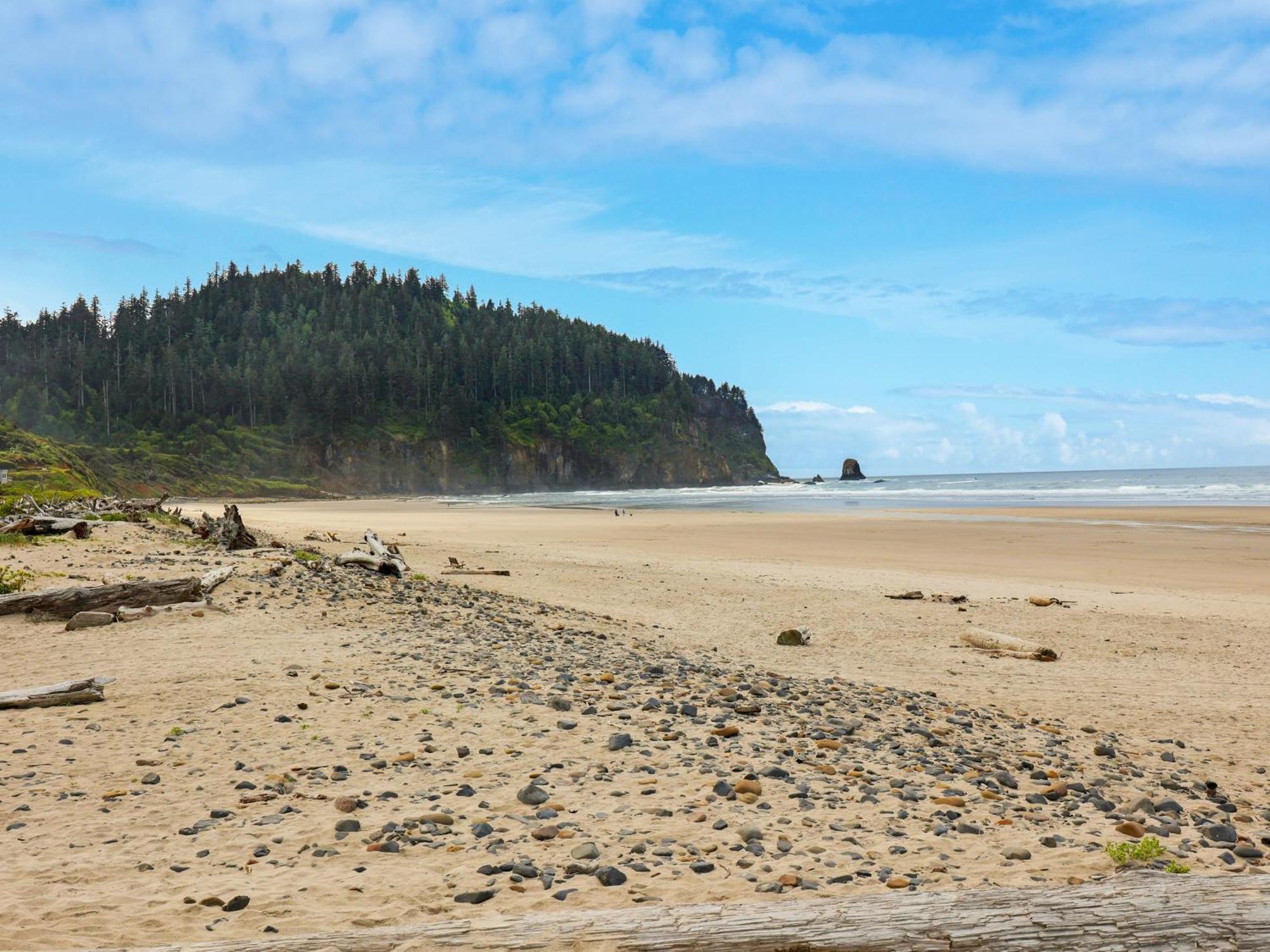 Woods Waves: Luxury Coast Cabin King Beds Pets Tillamook Dış mekan fotoğraf